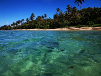 Scenic view of sea against clear sky