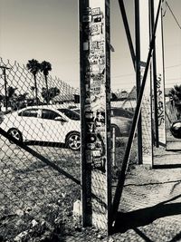 Plants by fence against sky