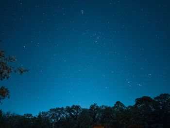 Low angle view of trees against sky at night