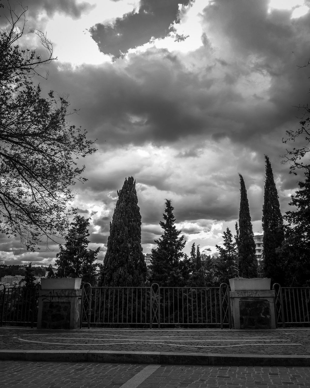 TREES OUTSIDE BUILDING AGAINST SKY