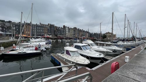 Sailboats moored at harbor against sky