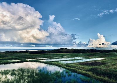 sky