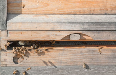 Full frame shot of wooden wall