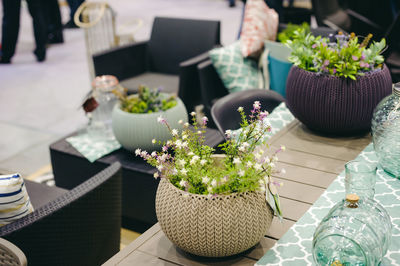 High angle view of potted plants on table