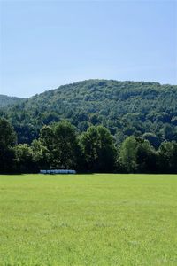 Scenic view of field against clear sky