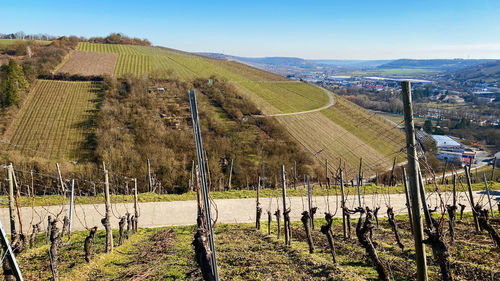 Scenic view of vineyard against sky