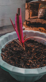 High angle view of potted plant on table