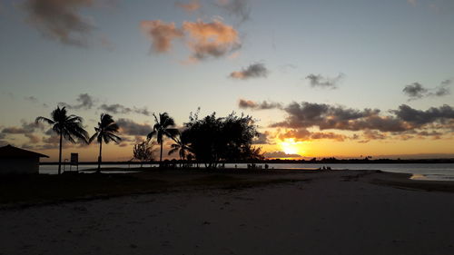 Silhouette palm trees on beach against sky during sunset