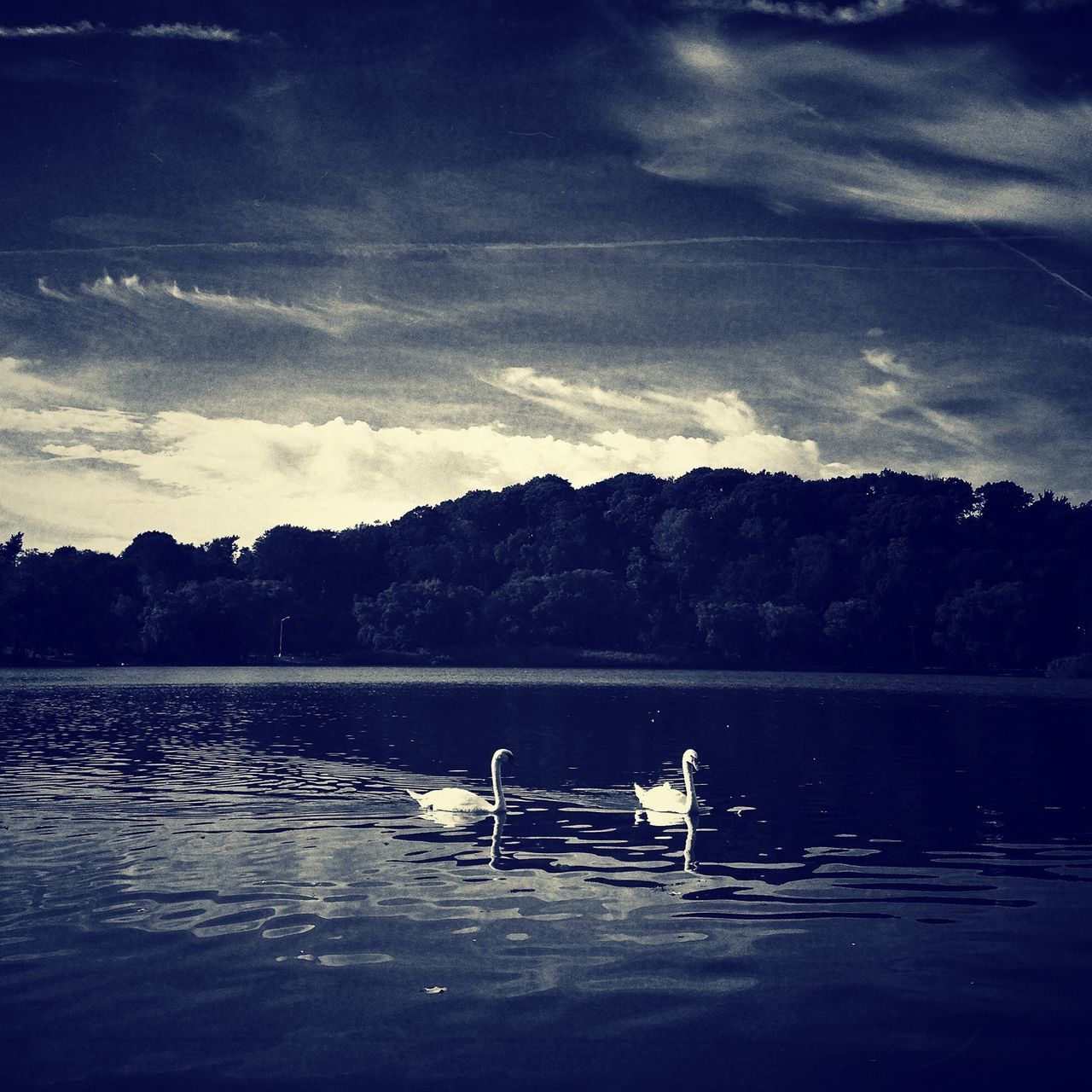 water, mountain, sky, lake, nautical vessel, tranquil scene, transportation, boat, tranquility, scenics, mode of transport, mountain range, beauty in nature, nature, reflection, bird, cloud - sky, animal themes, waterfront, cloud