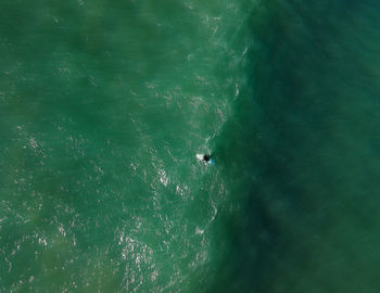 High angle view of people swimming in sea