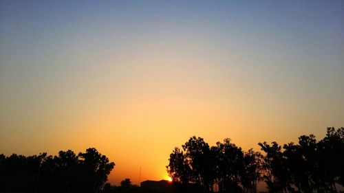 Silhouette trees against sky during sunset