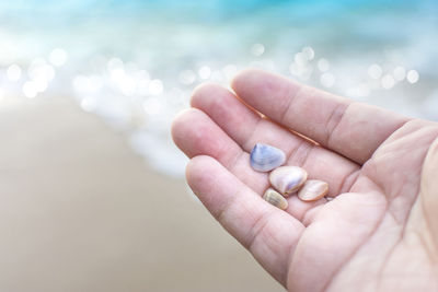 Close-up of hand holding pebbles at beach