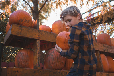 Boy holding pumpkin during autumn