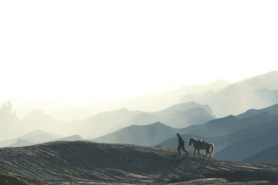 View of horse on mountain range against sky