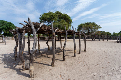 Trees on beach against sky