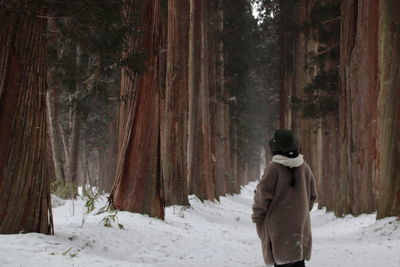 Rear view of person standing on snow covered land