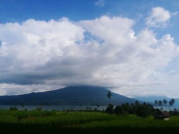 Scenic view of field against sky