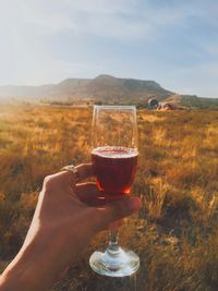 Person holding glass of mountain against sky