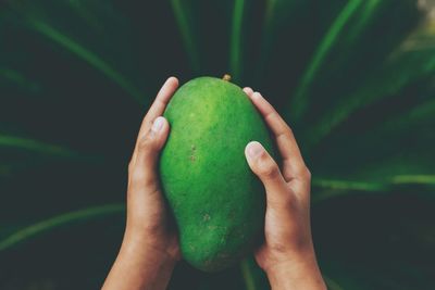 Close-up of hand holding fruit