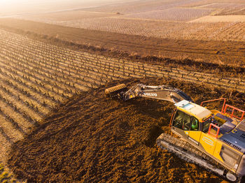 High angle view of agricultural field