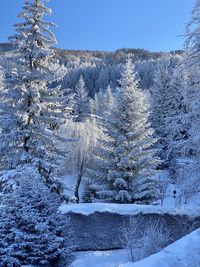 Snow covered land against sky