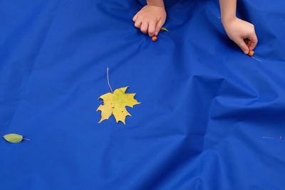 Low section of child picking berries on blue fabric