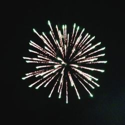 Low angle view of firework display at night