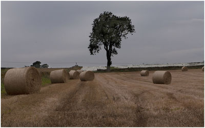 Hay bales on field against sky