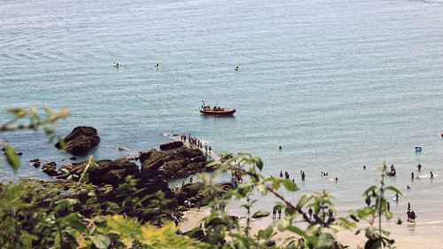 High angle view of ducks in sea