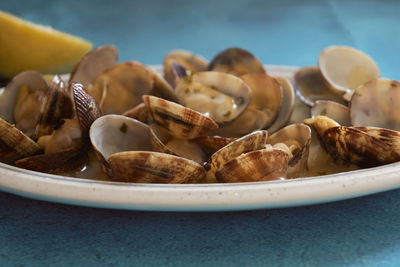 Close-up of shells in bowl on table