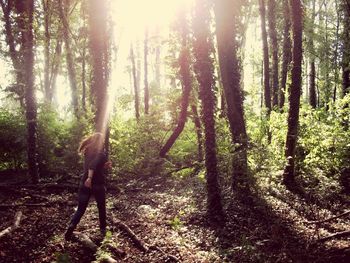 Low section of man standing in forest