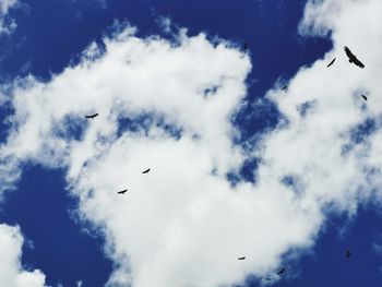 Low angle view of birds flying in sky