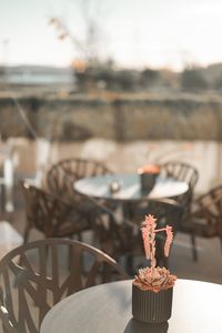 Close-up of food on table