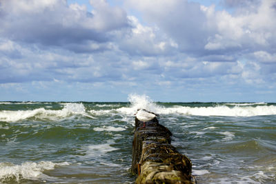 View of horse in sea against sky