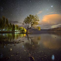 Reflection of trees in lake