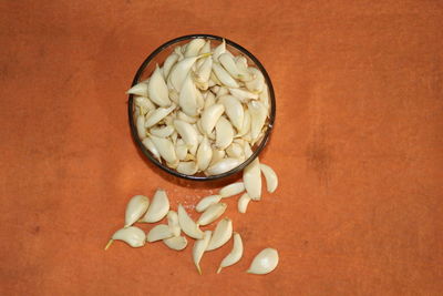 Close-up of seashells