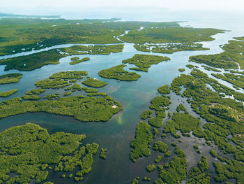 High angle view of landscape