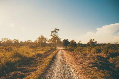 Road amidst trees on field against sky