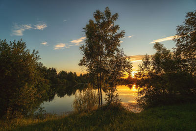Trees by lake against sky during sunset