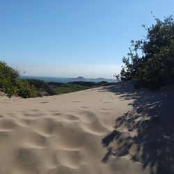 Scenic view of beach against clear sky