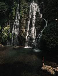 Scenic view of waterfall in forest