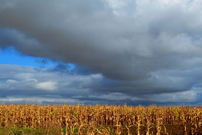 Scenic view of field against cloudy sky