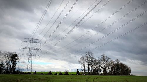 Scenic view of trees on field against sky