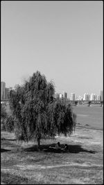 Trees and buildings in city against clear sky