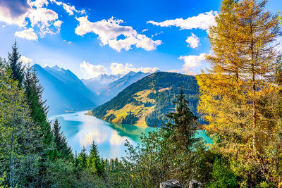 Scenic view of trees against sky