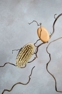 High angle view of fruits on table