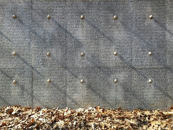Full frame shot of dry leaves