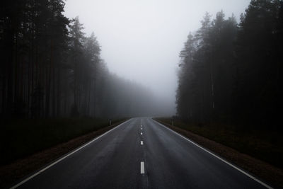 Empty road amidst trees during foggy weather