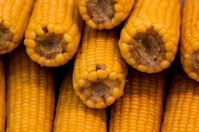 Close-up of corn corns