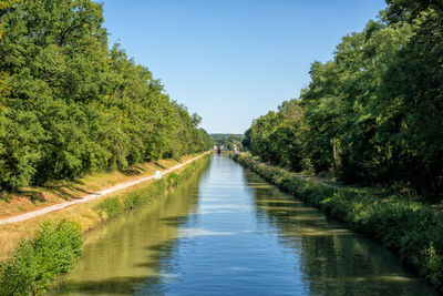 Empty road amidst trees against clear sky